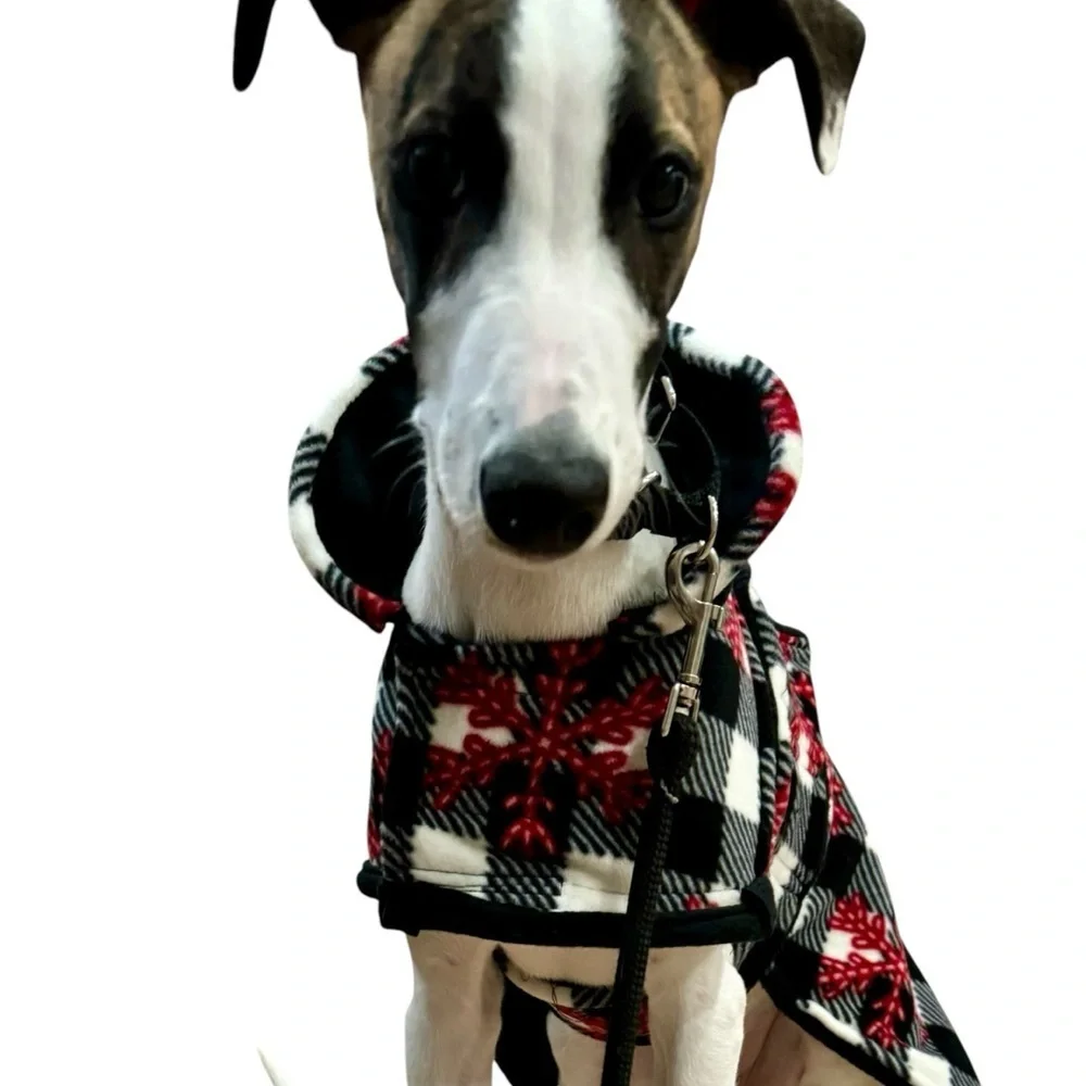 Plaid Dog Coat with Red Accents